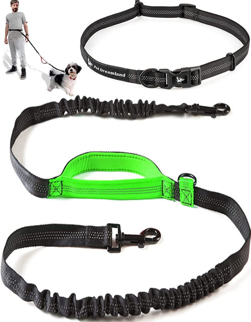 Load image into Gallery viewer, Hands Free Dog Leash for Running, Walking, Hiking, Cycling and Training. Bungee Harness, Adjustable Waist Belt, Single or Double Handle, Reflective Stitching. Medium and Large Dogs