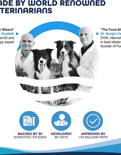 Load image into Gallery viewer, Legend Sensitive Skin Dog Food, Grain Free Dry Dog Food with Curative Herbs, Premium Quality Wild Caught Anchovy Flavor, for Adult Dogs, Pack of 1