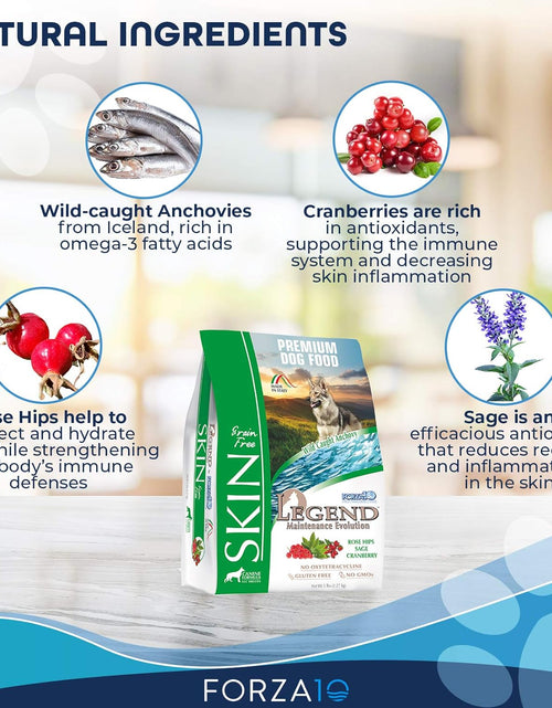 Load image into Gallery viewer, Legend Sensitive Skin Dog Food, Grain Free Dry Dog Food with Curative Herbs, Premium Quality Wild Caught Anchovy Flavor, for Adult Dogs, Pack of 1