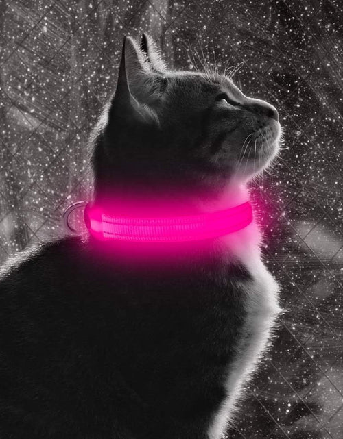Load image into Gallery viewer, XS LED Dog Collar - Adjustable USB Rechargeable Glowing Pet Collar, Light up Collars for Small Dogs& Cats