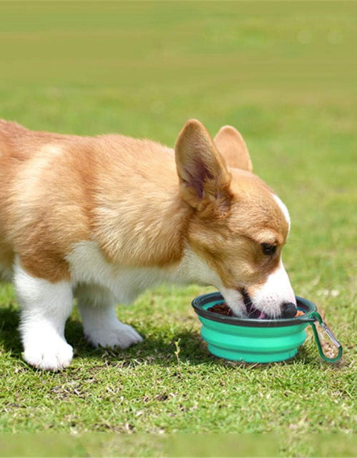 Load image into Gallery viewer, Collapsible Pet Bowl Dog Bowls 2 Pack, Portable Silicone Pet Feeder, Foldable Expandable for Dog/Cat Food Water Feeding, Travel Bowl for Camping (Light Blue+Light Green)