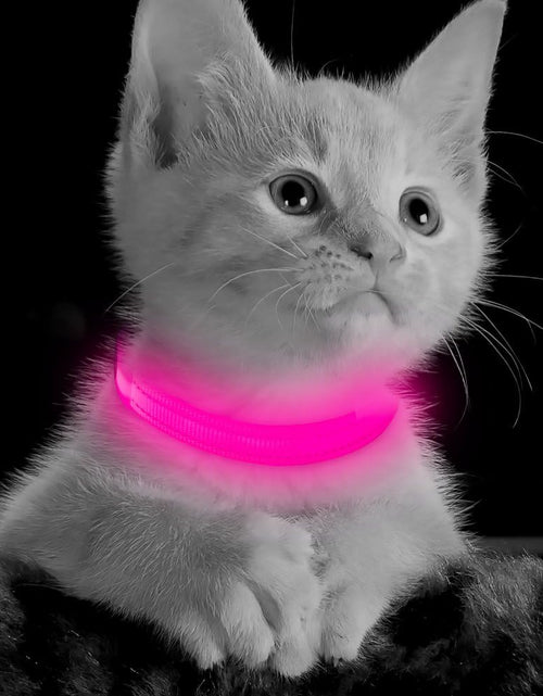 Load image into Gallery viewer, XS LED Dog Collar - Adjustable USB Rechargeable Glowing Pet Collar, Light up Collars for Small Dogs& Cats