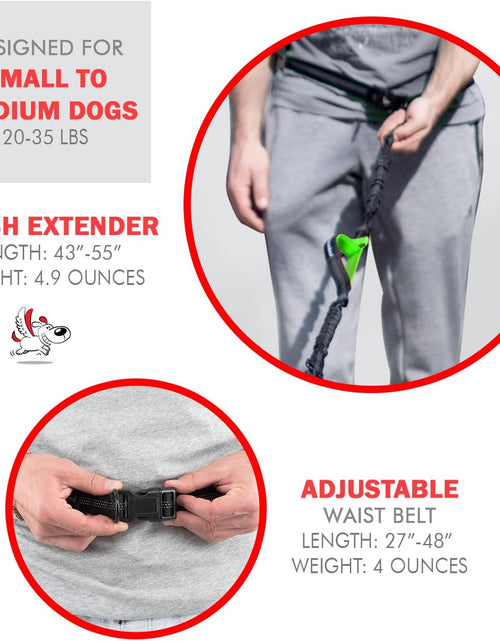 Load image into Gallery viewer, Hands Free Dog Leash for Running, Walking, Hiking, Cycling and Training. Bungee Harness, Adjustable Waist Belt, Single or Double Handle, Reflective Stitching. Medium and Large Dogs
