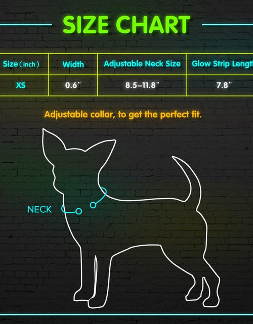 Load image into Gallery viewer, XS LED Dog Collar - Adjustable USB Rechargeable Glowing Pet Collar, Light up Collars for Small Dogs& Cats