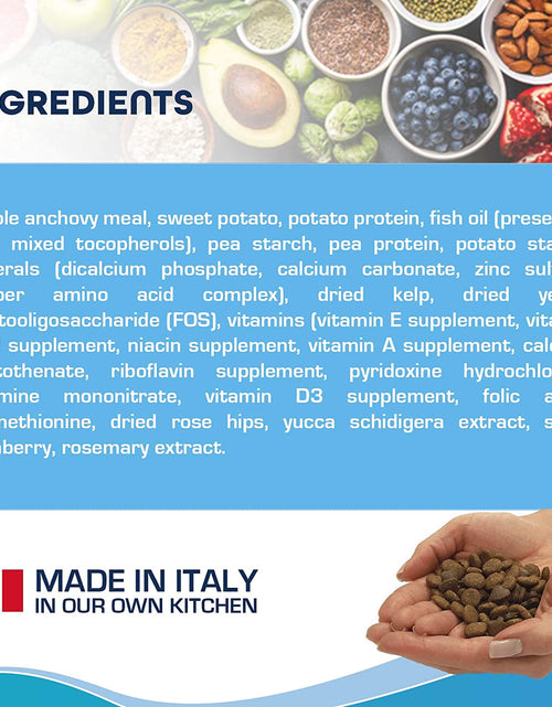 Load image into Gallery viewer, Legend Sensitive Skin Dog Food, Grain Free Dry Dog Food with Curative Herbs, Premium Quality Wild Caught Anchovy Flavor, for Adult Dogs, Pack of 1