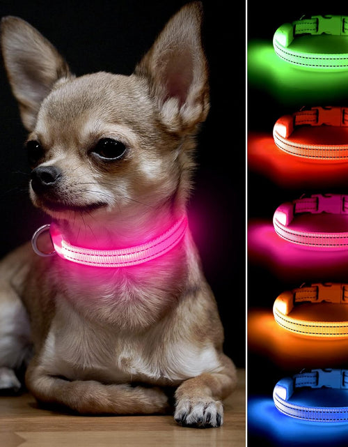 Load image into Gallery viewer, XS LED Dog Collar - Adjustable USB Rechargeable Glowing Pet Collar, Light up Collars for Small Dogs& Cats