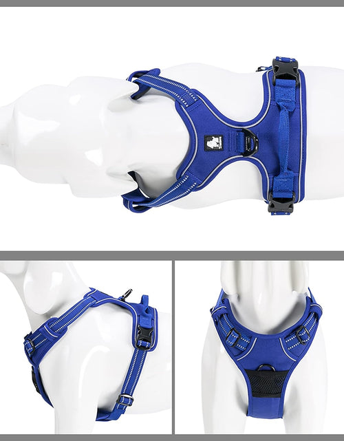Load image into Gallery viewer, Adjustable No-Pull Dog Harness Reflective Pup Vest Harnesses Comfortable Control Brilliant Colors Truelove Tlh5651(Royal Blue,L)