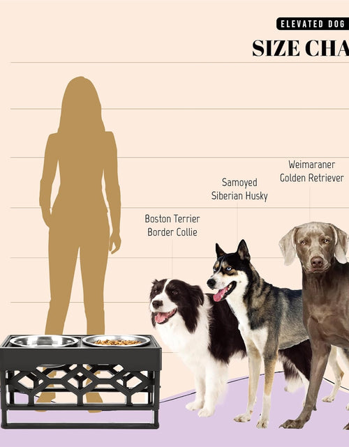 Load image into Gallery viewer, Large Elevated Dog Bowls Stand - Adjustable Raised Pet Food Feeder Station for Medium/Large Sized Dogs - Anti-Slip 4 Height Stand with 2 Stainless Steel Large Dog Food & Water Bowls Dish Set
