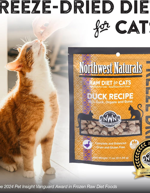 Load image into Gallery viewer, Freeze Dried Diet for Cats – Duck Cat Food – Grain-Free, Gluten-Free Pet Food, Cat Training Treats – 11 Oz (3 Pack)
