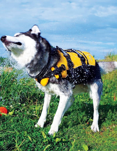 Load image into Gallery viewer, Premium Doggy Flotation Device (DFD) - Adjustable Dog Life Jacket Preserver with Reflective Trim - Durable Grab Handle for Safety and Protection - 50% More Flotation Material (Small, Red)